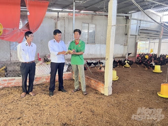 Soc Trang veterinary officers guide poultry farming households on disease safety measures. Photo: Kim Anh.