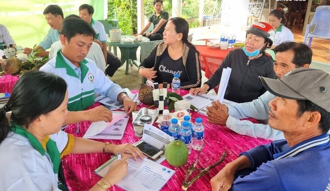 Through mobile medical examination trips, 'crop doctors' have provided hundreds of free prescriptions to farmers. Photo: Minh Dam.