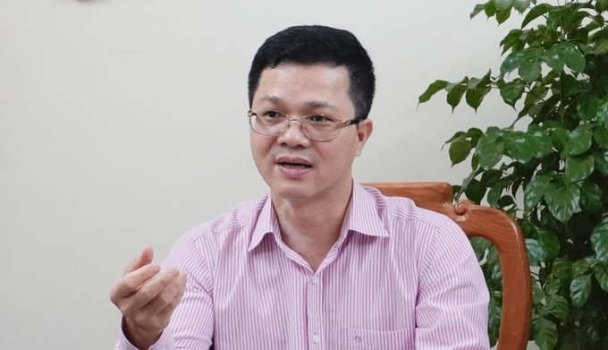 Theo ông Nguyễn Văn Long, Cục trưởng Cục Thú y, thiệt hại lớn nhất bệnh FMD gây ra là ảnh hưởng đến xuất khẩu động vật, sản phẩm động vật của Việt Nam sang các nước. Ảnh: Hồng Thắm.