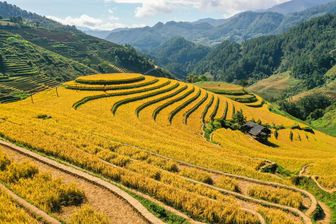 Mu Cang Chai terraced fields are a unique natural landscape, attractive to tourists. Photo: Tung Dinh.