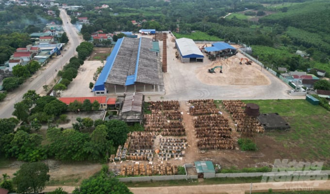 Cơ sở chế biến gỗ keo của Công ty LHD tại thôn Nhà Máy xã Bãi Trành, huyện Như Xuân, tỉnh Thanh Hóa thực hiện các hoạt động không đúng ngành nghề sản xuất theo giấy phép được cấp. Ảnh: QT.