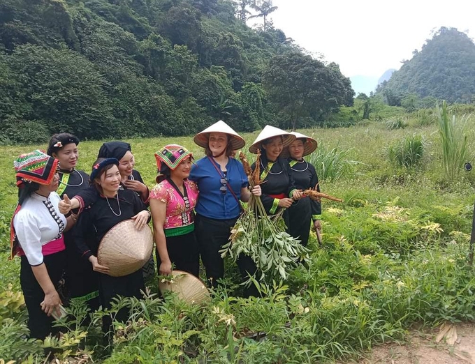 Du khách nước ngoài thăm vườn cây dược liệu của HTX Lũng Lô (huyện Văn Chấn). Ảnh: Thanh Tiến.