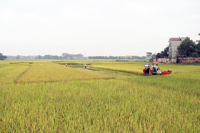 Sản xuất nông nghiệp được quan tâm phát triển ngày càng bài bản. Ảnh: Thảo My.