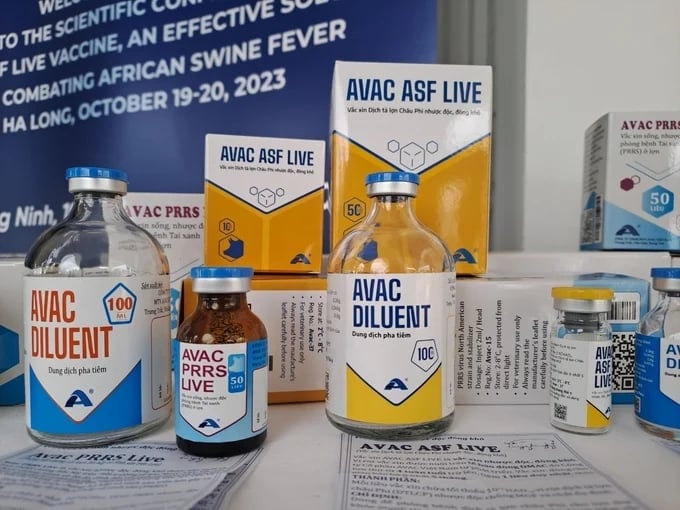 AVAC ASF LIVE African Swine Fever Vaccine manufactured by AVAC Vietnam Joint Stock Company. Photo: Cuong Vu.