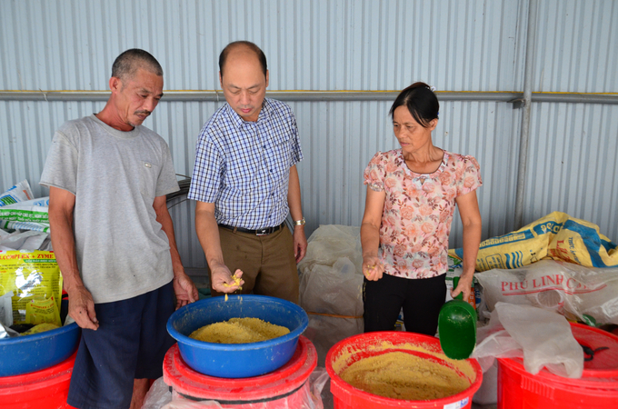 Kiểm tra thức ăn sau khi ủ. Ảnh: Nguyễn Thị Thắm.