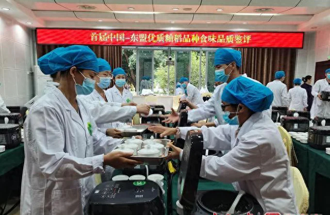 A step in the process of evaluating rice quality.