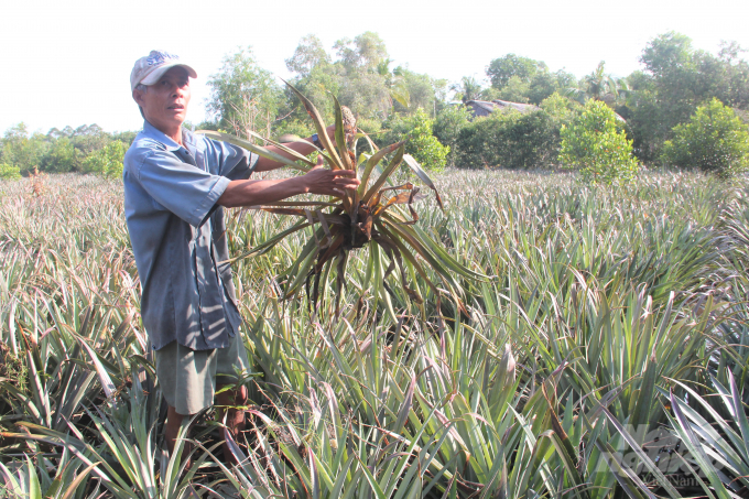 Southern localities need to be alert to the risk of storms and floods in the last months of the year and the impact of drought and saltwater intrusion in the 2024 dry season. Photo: TL.