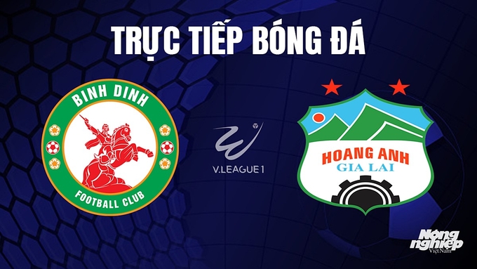 Trực tiếp bóng đá V-League 2023 giữa Bình Định vs HAGL hôm nay 3/11/2023
