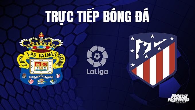 Trực tiếp bóng đá La Liga 2023/24 giữa Las Palmas vs Atletico Madrid hôm nay 4/11/2023