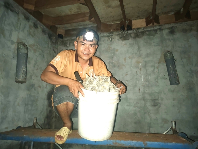 The bird's nest houses have been harvested. Photo: Tuan Anh.