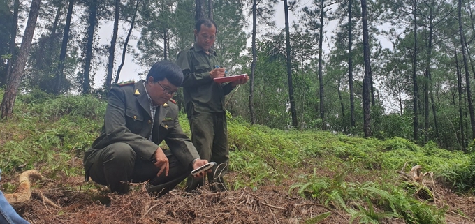 Lực lượng chức năng vẫn đang khẩn trương điều tra để xử lý nghiêm các đối tượng vi phạm. Ảnh: CĐ.