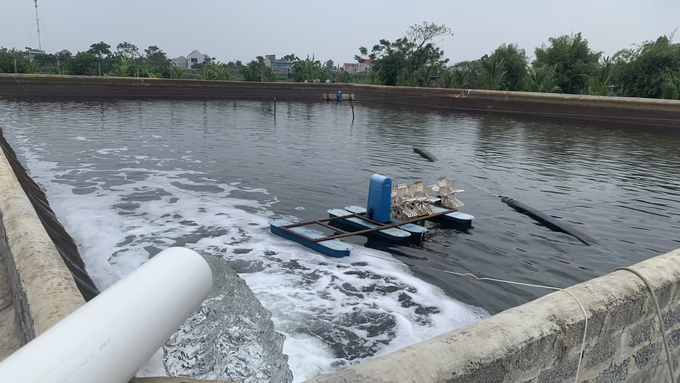 A corner of the input water treatment area of Mr. Luynh's high-tech white shrimp farming model. Photo: Huy Binh.