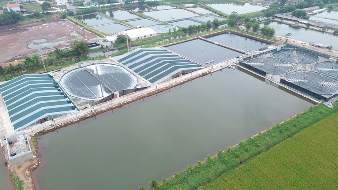 Deployed since 2016, up to now, the high-tech shrimp farming area of Kim Son district has grown to nearly 65 hectares. Photo: Huy Binh.