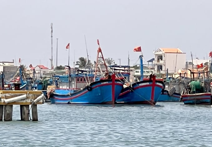Khu vực Duyên hải Miền Trung có thể phát triển những tour khai thác đời sống ngư dân. Ảnh: Sơn Trang.