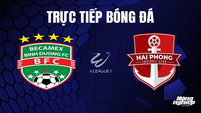 Trực tiếp bóng đá V-League 2023 giữa Bình Dương vs Hải Phòng hôm nay 4/11/2023