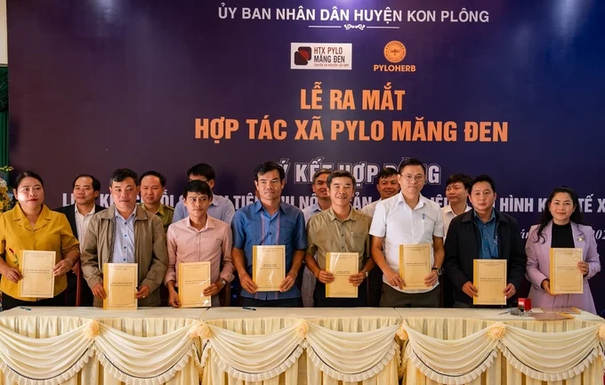 Kon Plong farmers signed a product off-take contract with PyLo Mang Den Cooperative.