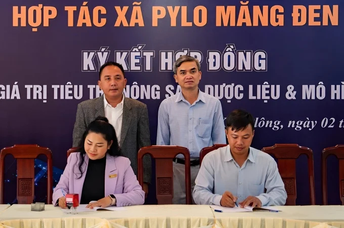 Signing an off-take contract for medicinal herbs between Kon Plong district and PlyLo Mang Den Cooperative.
