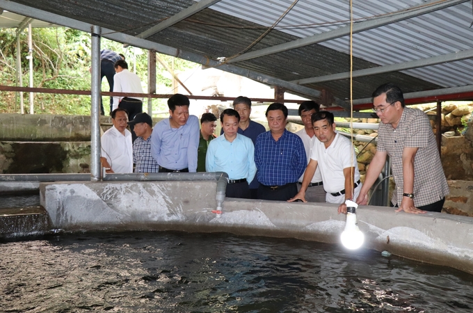 Minister of Agriculture and Rural Development Le Minh Hoan (3rd from right) visits Mr. Nguyen Quang Huy's cold water fish farm in Mu Cang Chai district, Yen Bai. Photo: Thanh Tien.