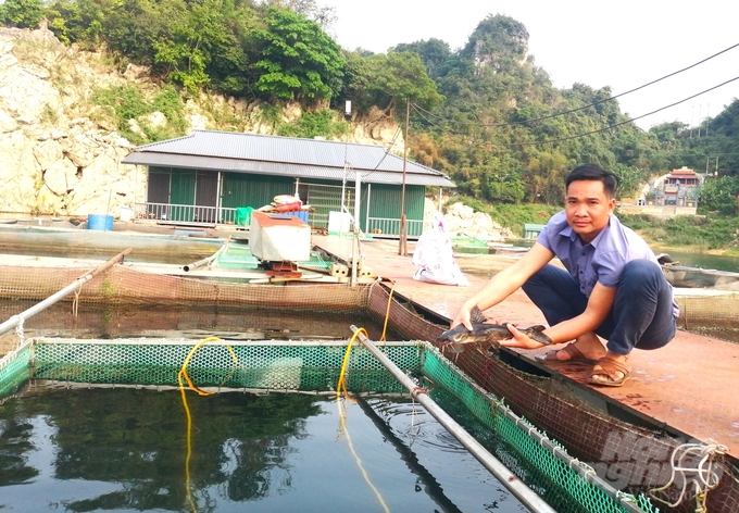 Hoa Binh has great potential in aquaculture development with more than 14,000 hectares of water surface, 543 large, medium and small irrigation lakes. Photo: Trung Quan.