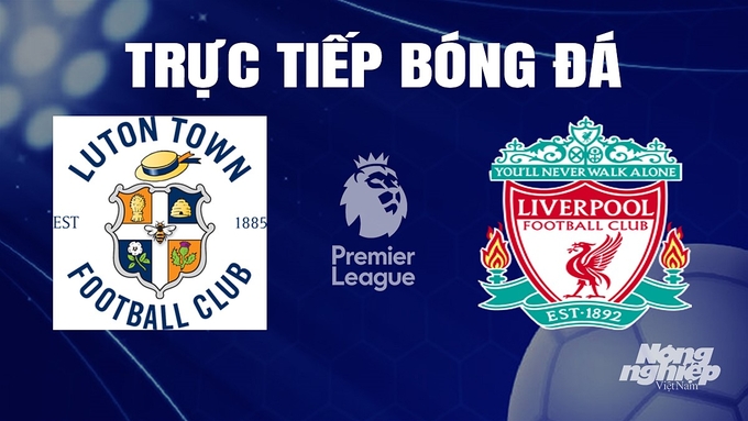 Trực tiếp bóng đá Ngoại hạng Anh giữa Luton Town vs Liverpool hôm nay 5/11/2023