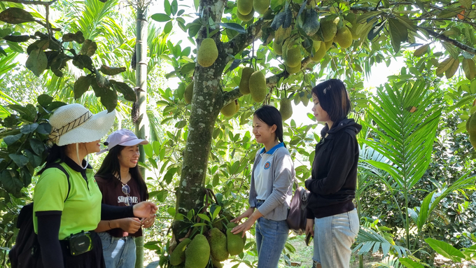 Xã Hành Nhân (huyện Nghĩa Hành, Quảng Ngãi) đang phát huy tiềm năng, lợi thế của địa phương là những vườn cây ăn quả xanh tốt để phát triển du lịch cộng đồng. Ảnh: L.K.