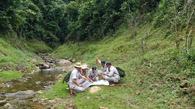 Authorities patrol and protect the forest. Photo: KD.