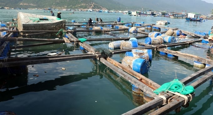 Farming cages on Binh Hung island, Cam Binh commune, Cam Ranh city, Khanh Hoa province, severely destroyed by large waves in 2021. Photo: Kim So.