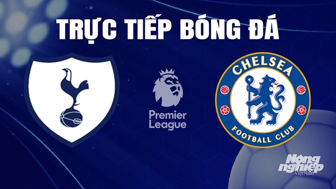 Trực tiếp bóng đá Ngoại hạng Anh giữa Tottenham vs Chelsea hôm nay 7/11/2023