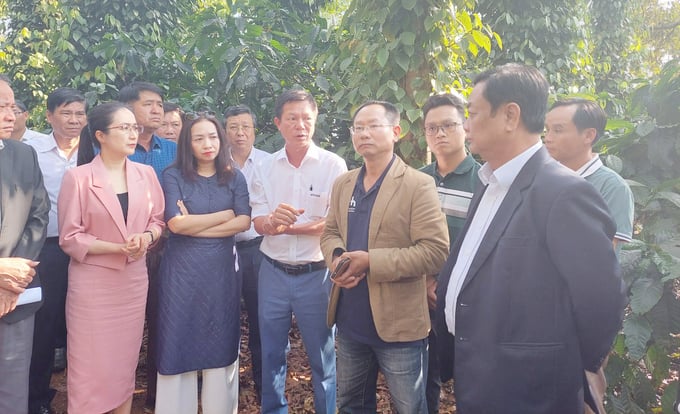 Bộ trưởng Bộ NN-PTNT Lê Minh Hoan (ngoài cùng bên phải) cùng đoàn công tác trong lần tới thăm vườn cà phê cảnh quan tại HTX Ea Tân. Ảnh: Quang Yên.