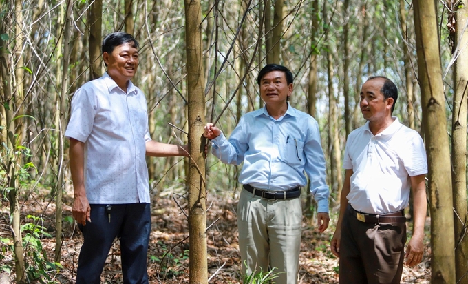 Người dân Quảng Trị phấn khởi với kế hoạch phát triển lâm nghiệp tại địa phương.