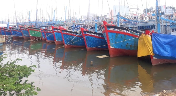 Tam Quan fishing port (Hoai Nhon town, Binh Dinh) arranges fishing vessels neatly during the rainy and stormy season. Photo: V.D.T.