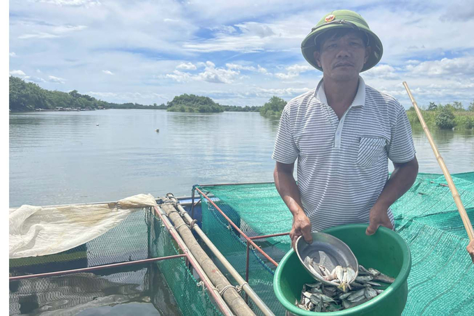 Không dùng thức ăn công nghiệp cho cá. Ảnh: T.Phùng