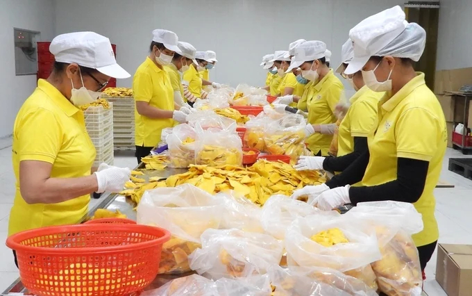 Thanks to the application of advanced technology, Phu Loc Thanh dried mango products retain their inherent flavour and are favoured by domestic and foreign markets. Photo: Tran Trung.