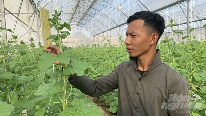 High-tech agricultural zones do not require a large area, but they must ensure the conditions and subjects to focus on applied research, technology incubation, demonstration as well as implementation of support services. Photo: Ho Thao.