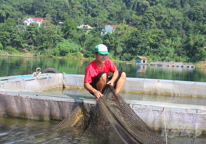 In Da Bac district, lake fish farming households have invested in upgrading facilities, forming chain links... to improve production efficiency. Photo: Trung Quan.