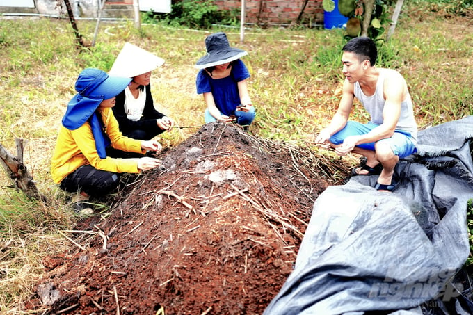 Mike Tran (right-most) and Van Anh (second from the right) inspecting organic compost following the formula developed by Mike Tran himself. Photo: Hong Thuy.