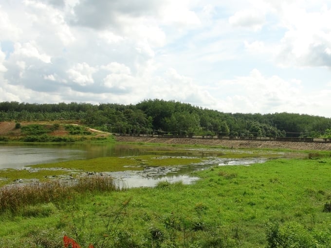 To ensure project safety during the rainy season, Binh Phuoc irrigation industry proactively lowered the water level and did not store water according to the design capacity. Photo: Tran Trung.