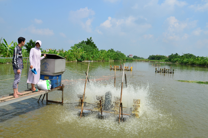 Cán bộ khuyến nông của huyện Phú Xuyên đến thăm trại cá của chị Huyền. Ảnh: Nguyễn Thị Thắm.