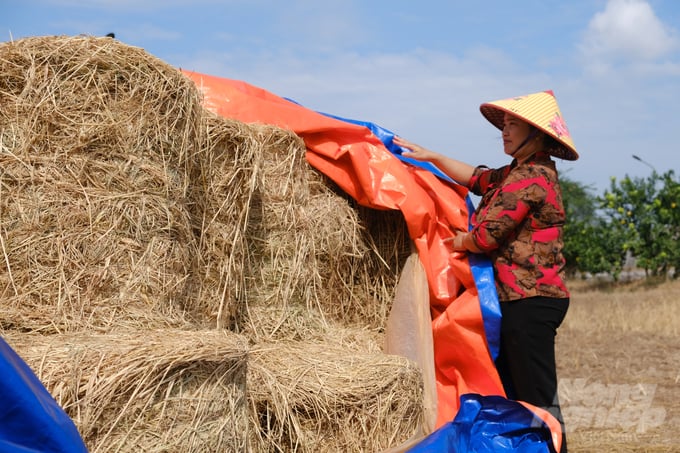 Ms. Tran Thi Lanh next to a stack of raw straw materials. Photo: K. Trung.