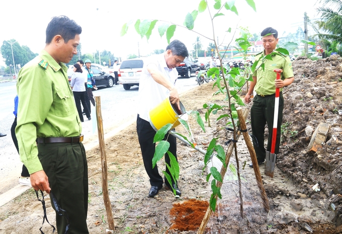 Tỉnh Hậu Giang đã có kế hoạch trồng cây lâm nghiệp, cây xanh phân tán với số lượng 8,4 triệu cây các loại, nhằm nâng độ che phủ của rừng và cây phân tán đến năm 2025 đạt 3% diện tích tự nhiên của toàn tỉnh. Ảnh: Trung Chánh.