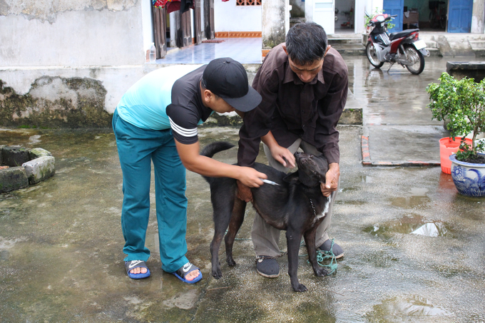Cán bộ Thú y xã Liên Hòa (Quảng Yên, Quảng Ninh) tiêm vacxin phòng bệnh dại chó, mèo. Ảnh: VC.