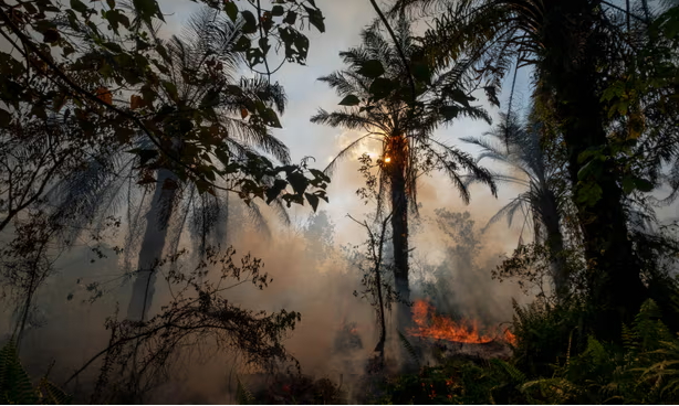 Deforestation in Riau province, Indonesia, to make way for palm oil plantations. Photograph: NurPhoto/Getty Images