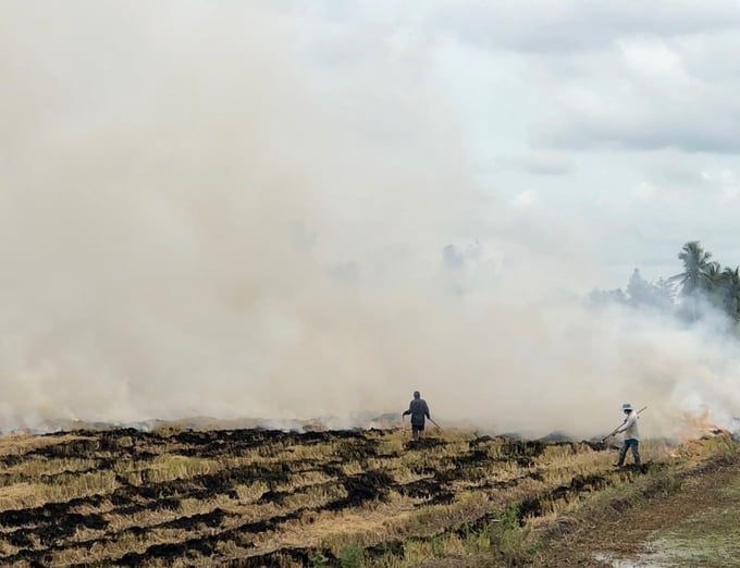 Over the years, the Ministry of Natural Resources and Environment and various local governments have issued strict directives prohibiting the burning of straw and husks due to the alarming level of air and environmental pollution. Photo: Thu Cuc.