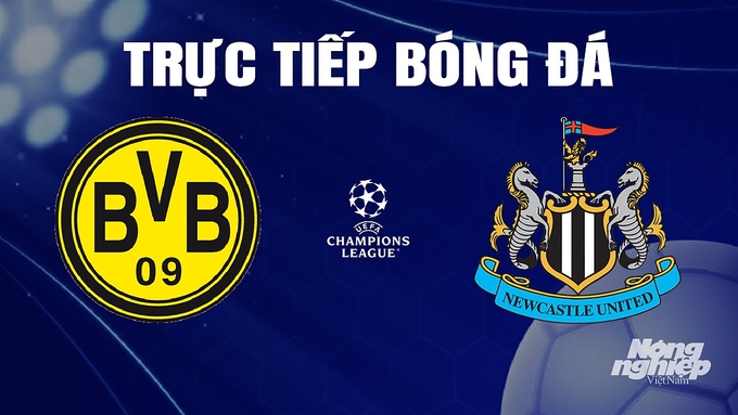 Trực tiếp bóng đá Cúp C1 Châu Âu giữa Dortmund vs Newcastle United hôm nay 8/11/2023