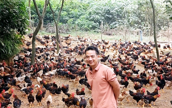 'Chicken farming’s main concerns at the moment are input and output prices. We do not need to worry about diseases because the people pay great attention to biosafety farming measures,' said Hien. Photo: Hoang Anh.