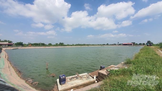 A black carp farming pond was invested in and built methodically in Bach Long commune. Photo: Kien Trung.