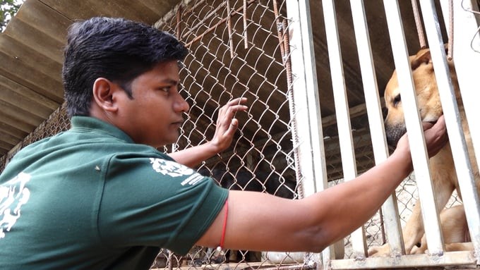 HSI's rescue team approached a dog individual at Mr. Hung's house. Photo: Quang Linh.