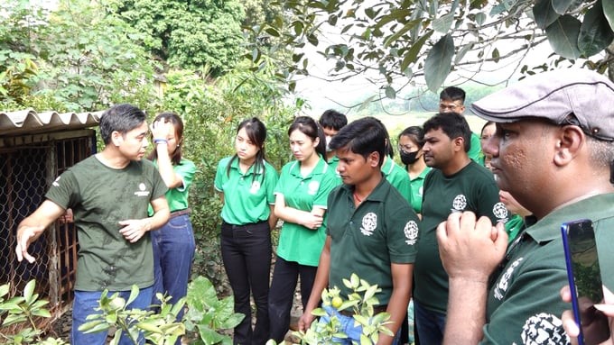 Students of the Faculty of Animal Science and Veterinary Medicine (Thai Nguyen University of Agriculture and Forestry) experience and practice animal rescue and care skills. Photo: Quang Linh.