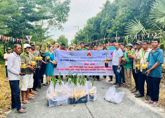 Khmer people participate in planting new Borassus trees in O Lam commune, Tri Ton district (An Giang). Photo: Le Hoang Vu.