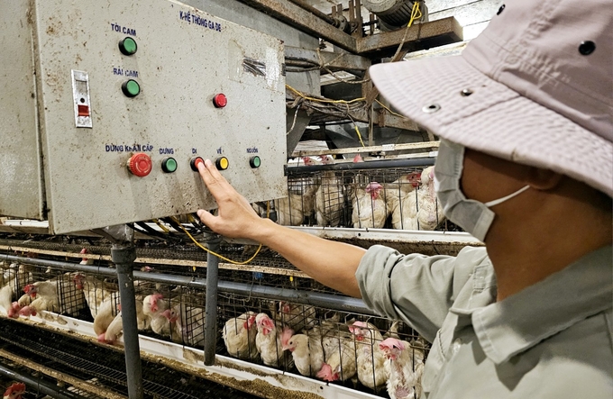 Automatic barn system. Photo: Hoang Anh.